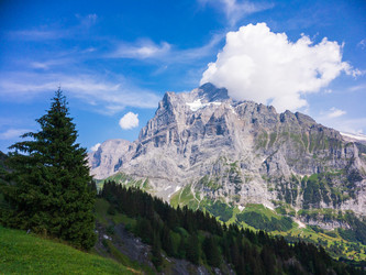 Similar image 21085722