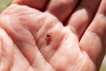 Similar image 21085731