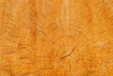 Similar image 21085749