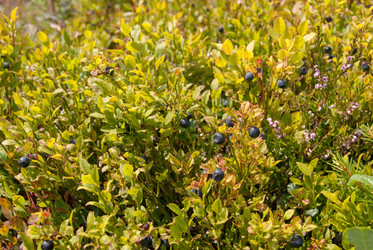 Similar image 21085752