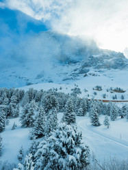 Similar image 21085785