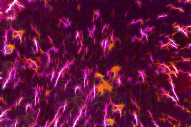 Similar image 21085791