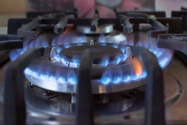 Similar image 21087716