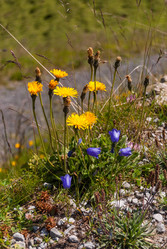 Similar image 21087719