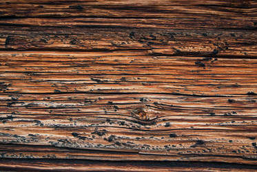 Similar image 21087720