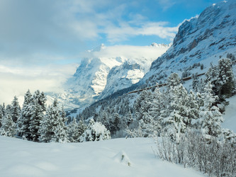 Similar image 21094374