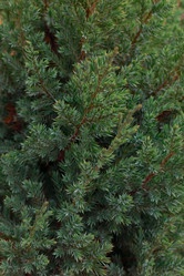 Similar image 21105382