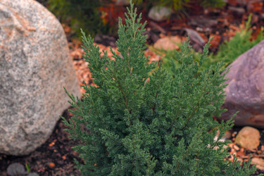 Similar image 21105383