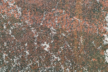 Similar image 21105400