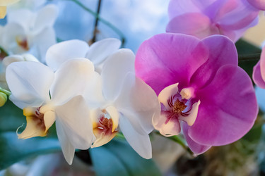 Similar image 21105418