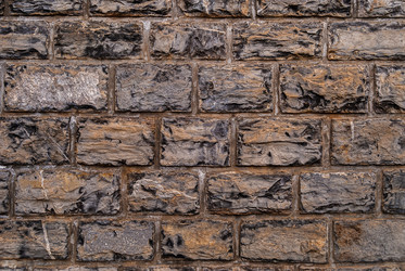 Similar image 21105419