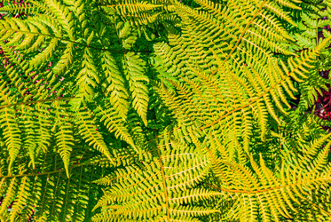 Similar image 21085801