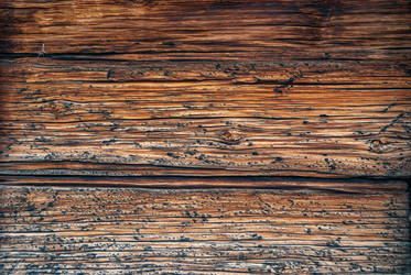 Similar image 21085803