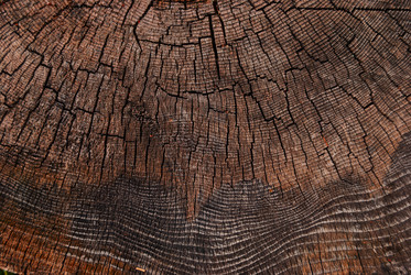 Similar image 21085807