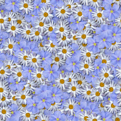 Similar image 21085811