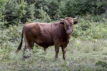 Similar image 21099076