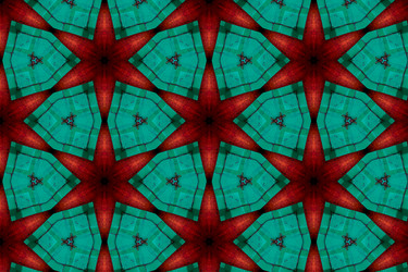 Similar image 21085448