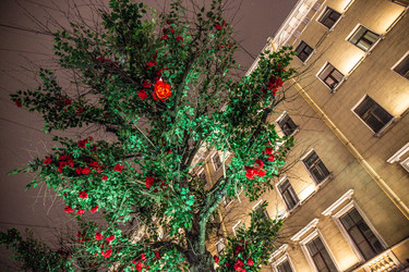 Similar image 21094392