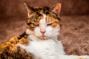 Similar image 21094648