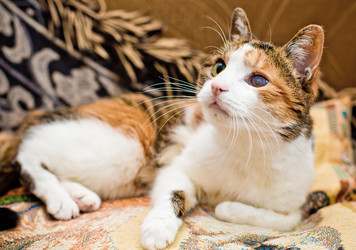 Similar image 21094651