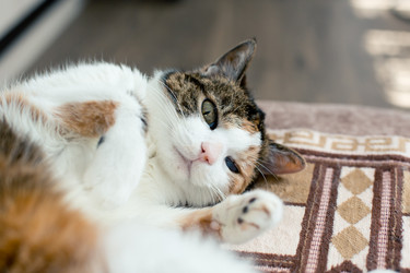 Similar image 21094394