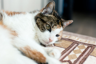 Similar image 21094397