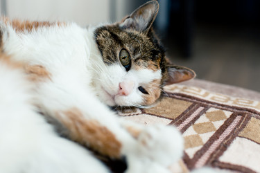 Similar image 21094399