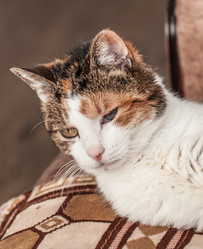 Similar image 21094427