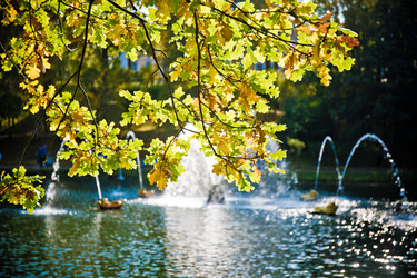 Similar image 21094433