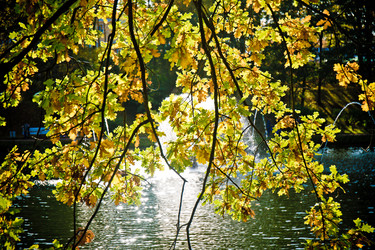 Similar image 21094434