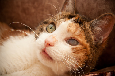 Similar image 21094439