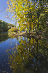 Similar image 21094268