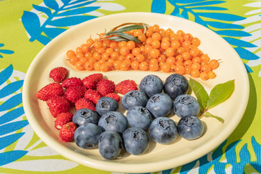 Similar image 21107376