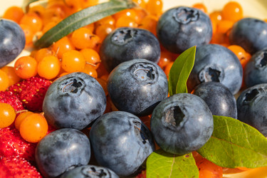 Similar image 21107422