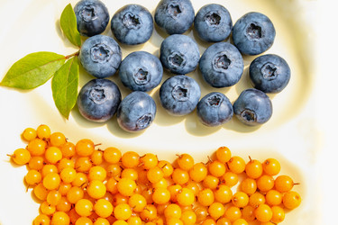 Similar image 21107432