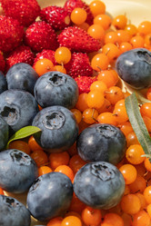 Similar image 21107433