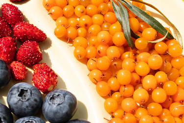 Similar image 21107434