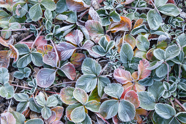 Similar image 21107455