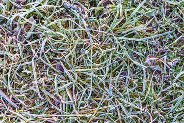 Similar image 21107456