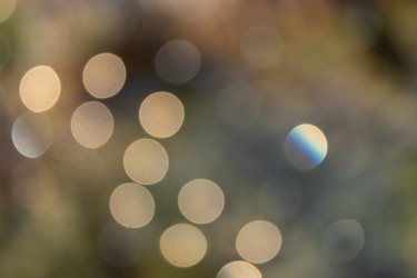 Similar image 21107459