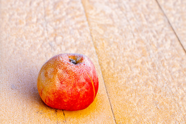 Similar image 21107461