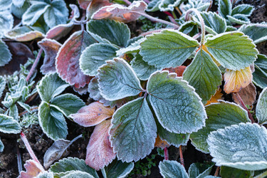 Similar image 21107463