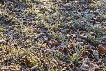 Similar image 21107464