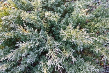 Similar image 21107465