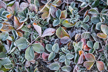 Similar image 21107466