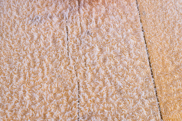 Similar image 21107467