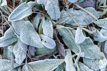 Similar image 21107468