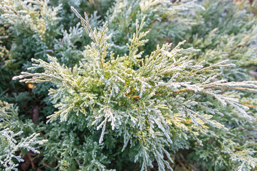 Similar image 21107471