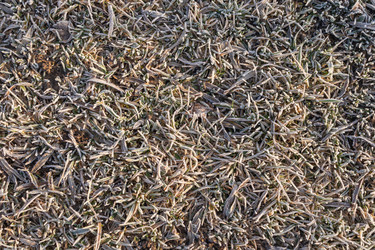 Similar image 21107472