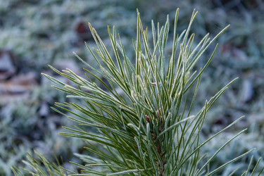 Similar image 21107473